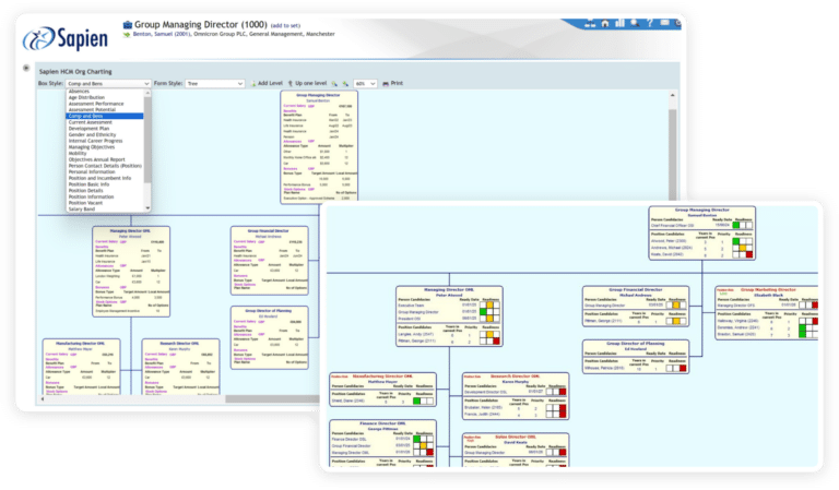 Solution - Sapien Software: Streamlining Global HR Operations